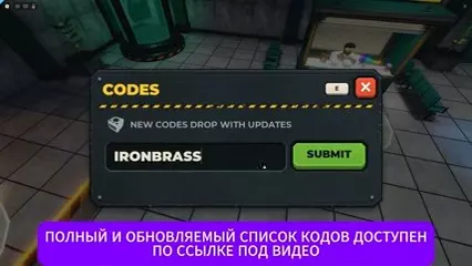Enter the code in the input field.